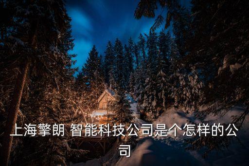 上海擎朗 智能科技公司是個(gè)怎樣的公司