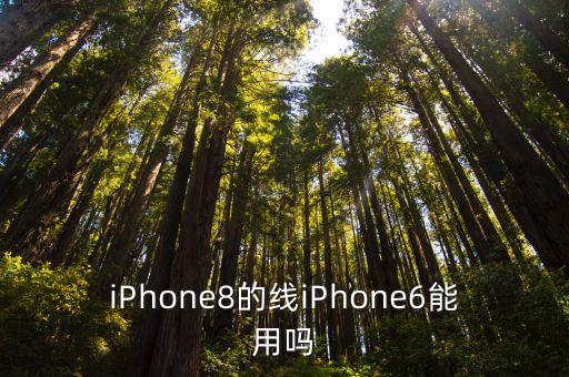 蘋果6原裝數(shù)據(jù)線壽命,蘋果只有原裝電池才顯示壽命?