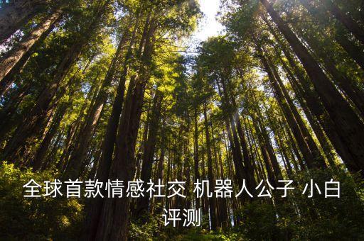 全球首款情感社交 機(jī)器人公子 小白評(píng)測(cè)
