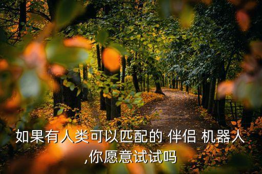如果有人類可以匹配的 伴侶 機(jī)器人,你愿意試試嗎
