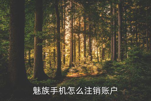 魅族手機怎么注銷賬戶