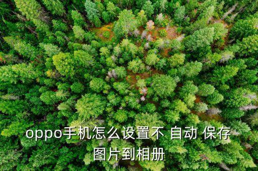 怎么取消自動保存圖片,oppo手機怎么取消自動保存圖片