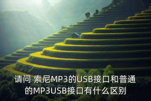 請問 索尼MP3的USB接口和普通的MP3USB接口有什么區(qū)別