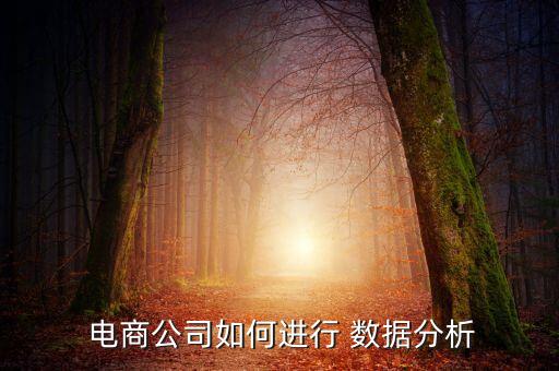  電商公司如何進(jìn)行 數(shù)據(jù)分析