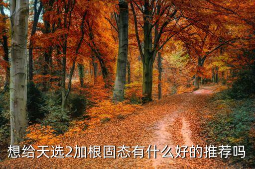 西部數(shù)據(jù)wd green m.2