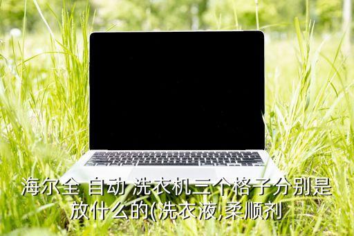 海爾全 自動 洗衣機(jī)三個格子分別是放什么的(洗衣液,柔順劑