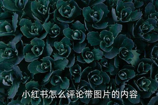  小紅書怎么評論帶圖片的內(nèi)容
