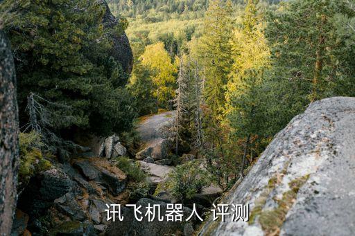 訊飛機(jī)器人 評(píng)測(cè)