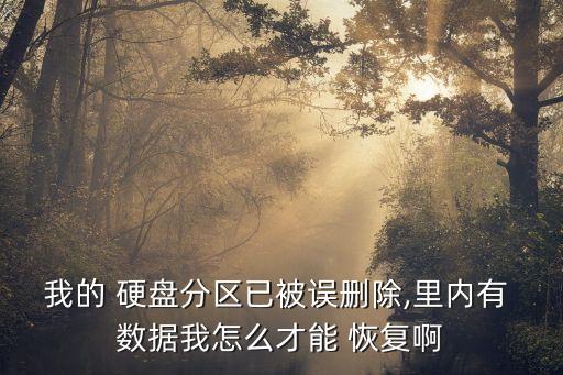 如何進行硬盤數(shù)據(jù)恢復,硬盤數(shù)據(jù)恢復2000元