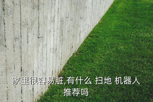 家里很容易臟,有什么 掃地 機器人推薦嗎