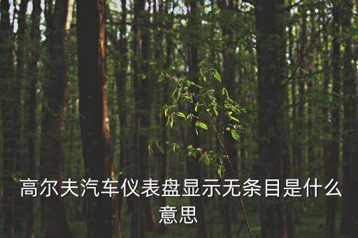  高爾夫汽車儀表盤顯示無條目是什么意思