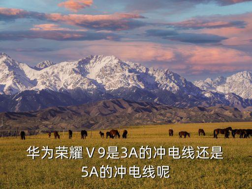  華為榮耀Ⅴ9是3A的沖電線還是 5A的沖電線呢