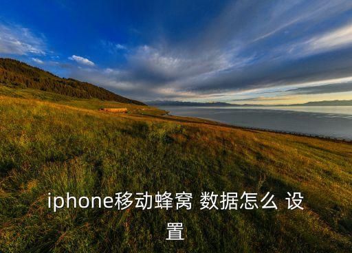 上網(wǎng)數(shù)據(jù)設(shè)置,大學(xué)生上網(wǎng)情況數(shù)據(jù)