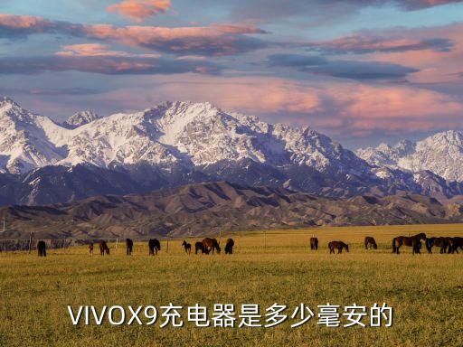 vivox9手機數(shù)據(jù)線型號