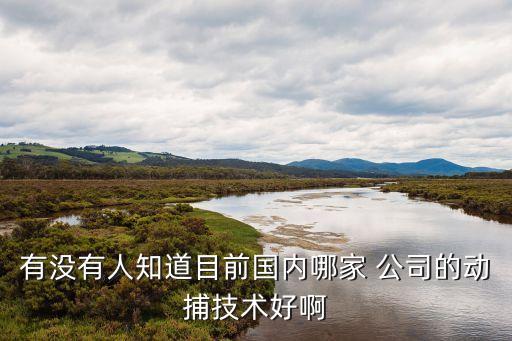 有沒有人知道目前國內哪家 公司的動捕技術好啊