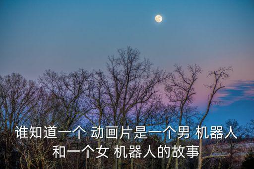 誰知道一個(gè) 動(dòng)畫片是一個(gè)男 機(jī)器人和一個(gè)女 機(jī)器人的故事