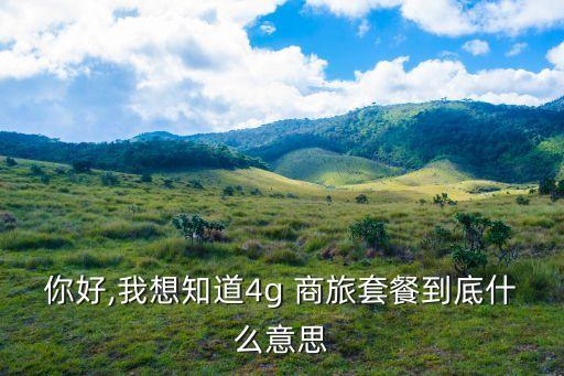 你好,我想知道4g 商旅套餐到底什么意思