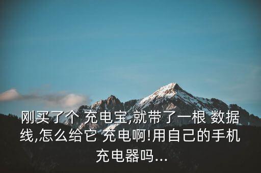 剛買(mǎi)了個(gè) 充電寶,就帶了一根 數(shù)據(jù)線,怎么給它 充電啊!用自己的手機(jī) 充電器嗎...