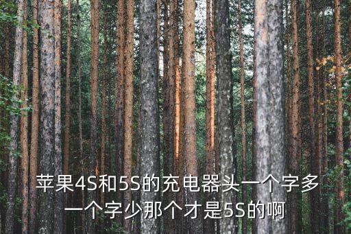 蘋果5s數(shù)據(jù)接口定義
