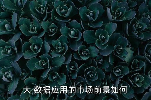 大 數(shù)據(jù)應(yīng)用的市場前景如何
