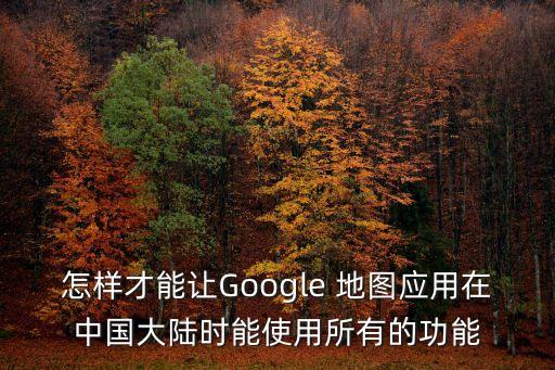 谷歌地圖對(duì)我國的數(shù)據(jù)分析