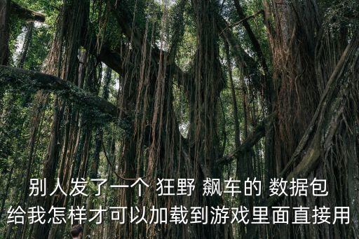 狂野飆車數(shù)據(jù)包怎么傳