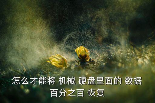 怎么才能將 機(jī)械 硬盤里面的 數(shù)據(jù)百分之百 恢復(fù)