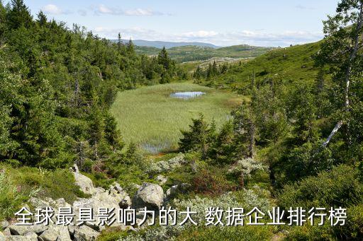 數(shù)據(jù)公司 排名,中國(guó)大數(shù)據(jù)公司排名10強(qiáng)