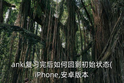 anki復(fù)習(xí)完后如何回到初始狀態(tài)(iPhone,安卓版本