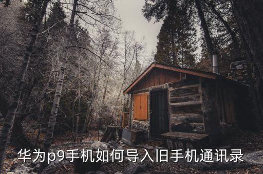 華為p9手機(jī)如何導(dǎo)入舊手機(jī)通訊錄
