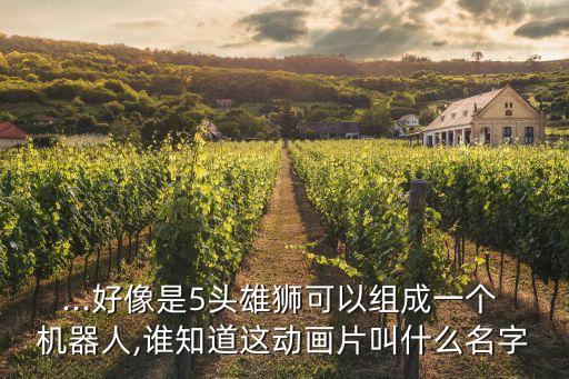 ...好像是5頭雄獅可以組成一個(gè) 機(jī)器人,誰(shuí)知道這動(dòng)畫(huà)片叫什么名字
