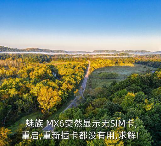 魅族MX6連不上數(shù)據(jù),魅族手機(jī)連不上數(shù)據(jù)網(wǎng)絡(luò)是怎么回事
