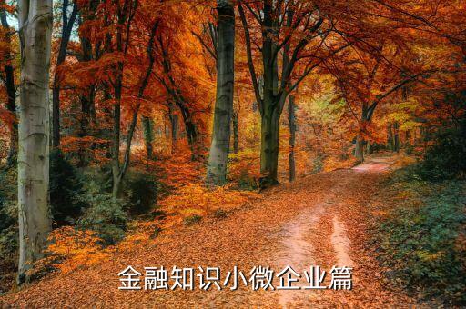  金融知識(shí)小微企業(yè)篇