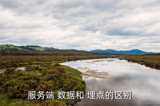 服務(wù)端 數(shù)據(jù)和 埋點的區(qū)別