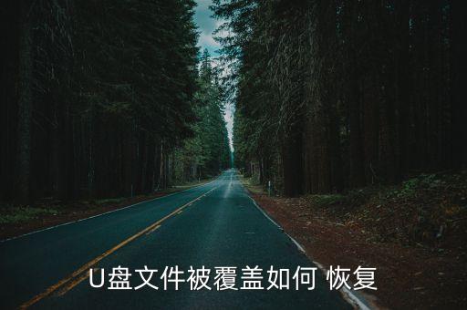 U盤文件被覆蓋如何 恢復(fù)