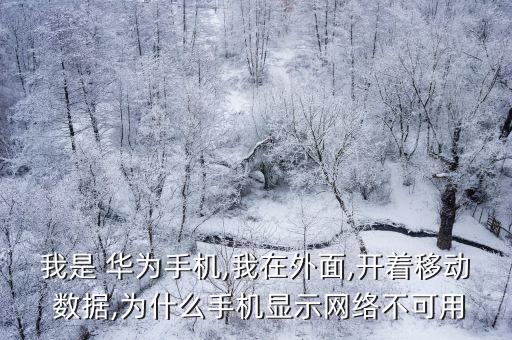 我是 華為手機,我在外面,開著移動 數(shù)據(jù),為什么手機顯示網(wǎng)絡(luò)不可用