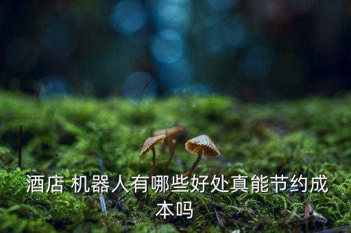  酒店 機(jī)器人有哪些好處真能節(jié)約成本嗎