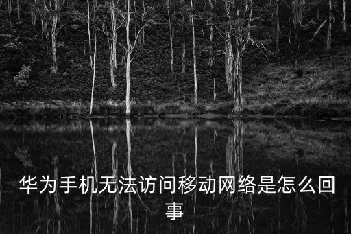  華為手機(jī)無法訪問移動(dòng)網(wǎng)絡(luò)是怎么回事