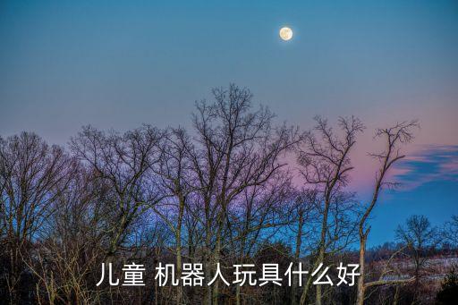兒童 機(jī)器人玩具什么好