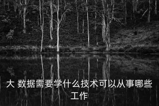 大 數(shù)據(jù)需要學(xué)什么技術(shù)可以從事哪些工作