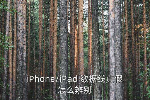 蘋果精仿數(shù)據(jù)線,1:1精仿蘋果手機