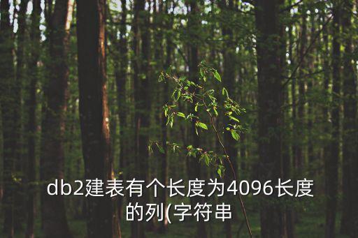  db2建表有個長度為4096長度的列(字符串