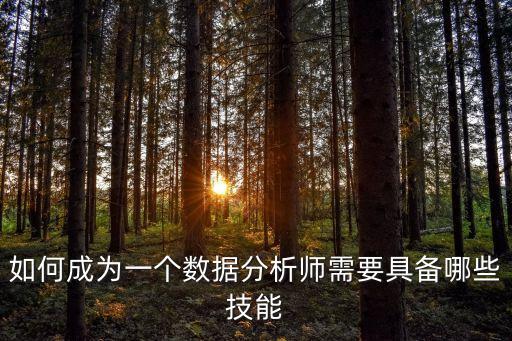 如何成為一個數(shù)據(jù)分析師需要具備哪些技能