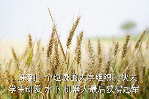 最新水下仿生機(jī)器人,水下仿生機(jī)器人國(guó)外研究現(xiàn)狀