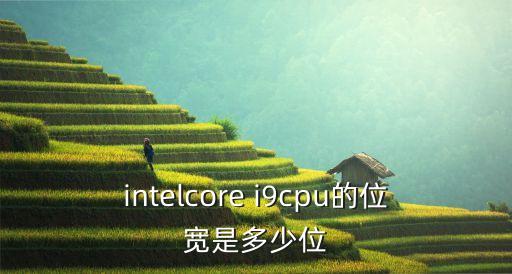 intelcore i9cpu的位寬是多少位