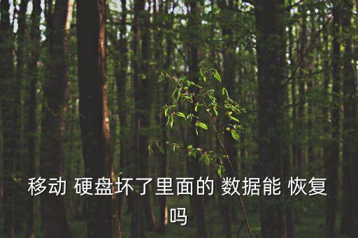 移動(dòng)硬盤文件怎么恢復(fù)數(shù)據(jù)恢復(fù)