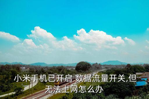  小米手機已開啟 數(shù)據(jù)流量開關(guān),但無法上網(wǎng)怎么辦