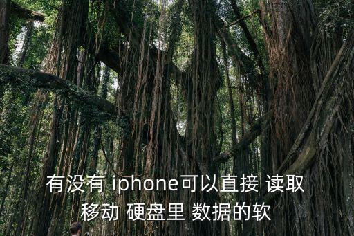 iphone 硬盤 數(shù)據(jù) 讀取,硬盤讀取不了數(shù)據(jù)還能恢復(fù)嗎