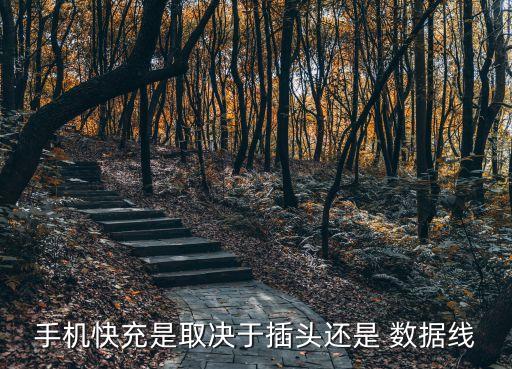 速充有數(shù)據(jù)線嗎,快充數(shù)據(jù)線一般是幾A