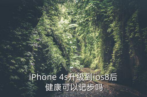 iPhone 4s升級到ios8后 健康可以記步嗎